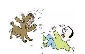 急救常識(shí):被寵物咬傷如何急救
