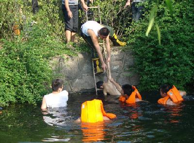 怎樣正確的水中救人