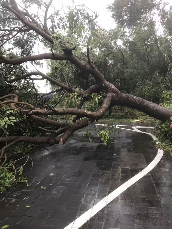 臺風(fēng)“劍魚”來襲，海南多地遭遇強風(fēng)暴雨，居民緊急避險